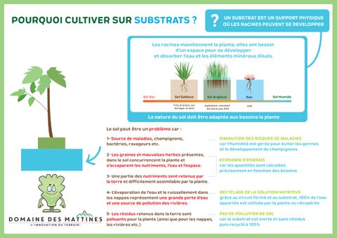 La culture sur substrat